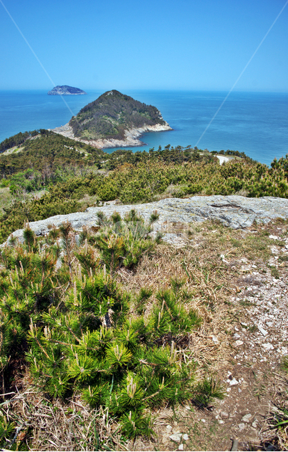 추자도,올레181코스,섬,올레코스,제주,바다,상추자도,봉글레산,자연,풍경,nature,landscape,land,땅,outdoors,옥외,bush,부시,vegetation,초목,plant,식물