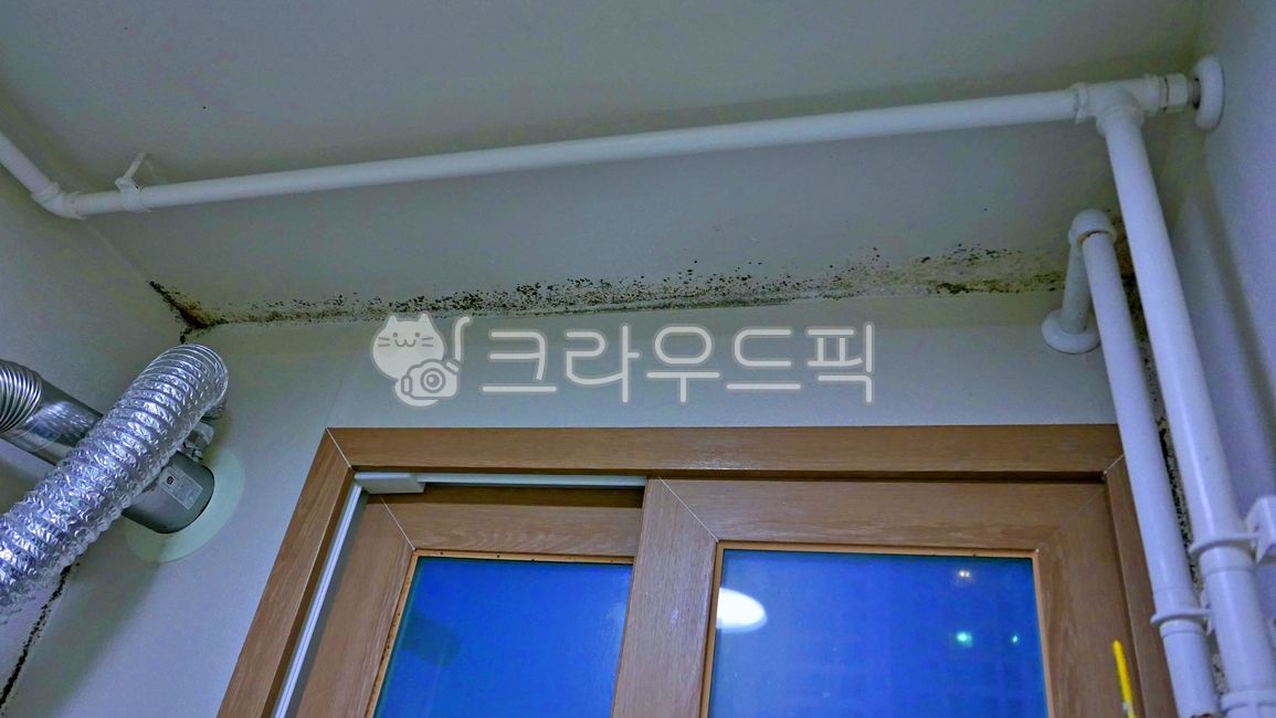 boiler room,mold,mold removal,storage,inside