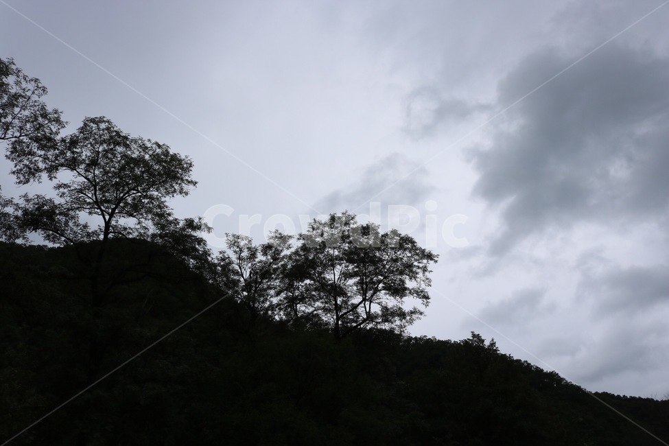 산,나무,하늘,구름,어둠,mountain,tree,sky,cloud,darkness,yama,ki,sora,kumo,yami,자연,풍경,nature,scenery,자연,풍경,nature,landscape,outdoors,옥외