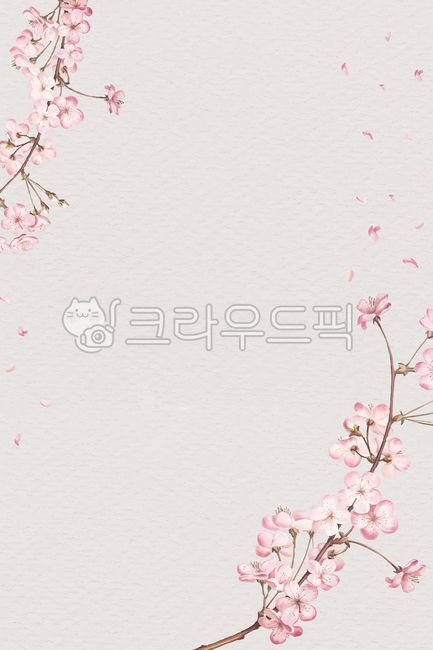 봄, 벚꽃, 봄배경, 벚꽃배경, 핑크, 사진,이미지,일러스트,캘리그라피 - 수수작가