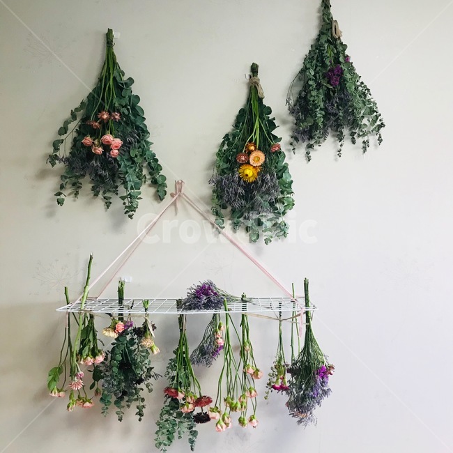 드라이플라워,dryflower,유칼립투스,eucalyptus,미니장미,rose,종이꽃
