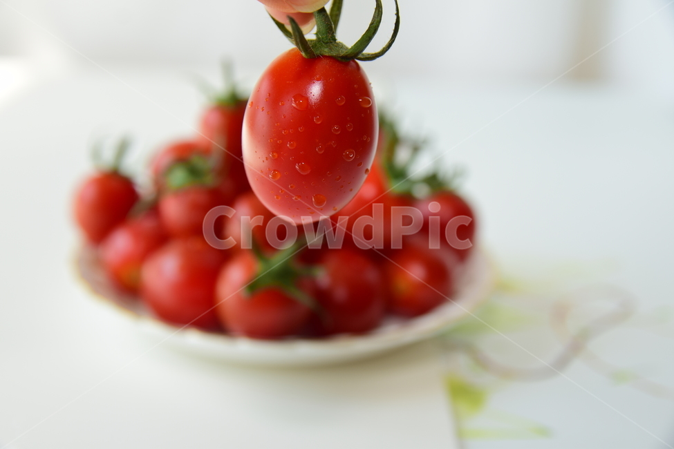 토마토,방울,방울토마토,꼭지,손,맛있는,신선한,싱싱한,싱싱,fresh,finger,엄지,검지,손가락,접사,클로즈업,closeup,thumb,tomato,delicious,음식,식재료,음식재료,음식,식재료,요리,food,cook,meal,dishes,food reserves,과일,열매,fruit,연출,컨셉,콘셉,direction,concept