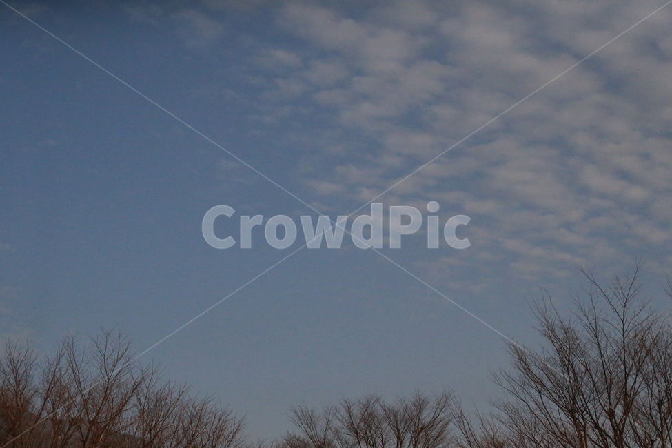 sky,cloud,Jiri Mountain,branch,flock of clouds,winter sky