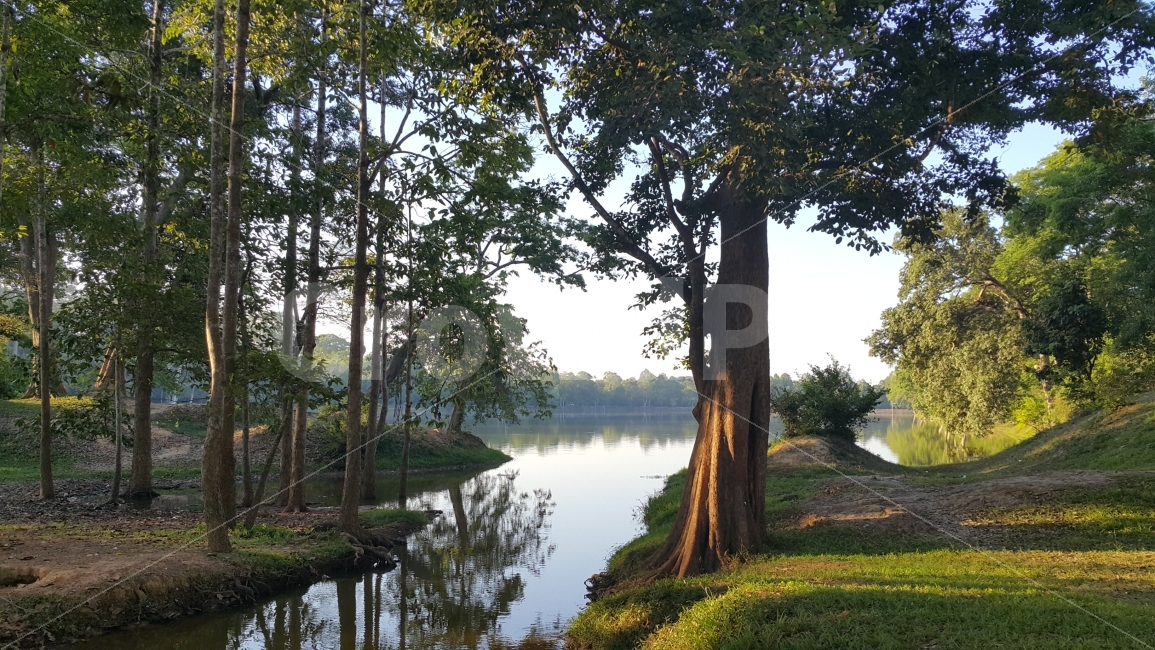 캄보디아,자연,숲,호수,풍경,자연,풍경,nature,landscape,해외,외국,세계,foreign,oversea,world,세계자연풍경,해외자연풍경,외국자연풍경,world nature landscape,휴식,힐링,rest,relaxation,healing,tree,나무,plant,식물,tree trunk,나무 줄기
