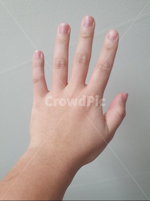 손,hand,엄지손가락,검지손가락,중지손가락