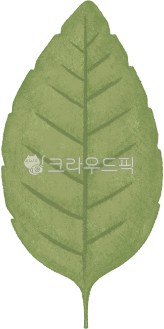 나뭇잎,잎사귀,열대식물,나뭇잎일러스트,초록색,잎,잎장식,green,leaf,foliage,plant,nature,greenery,eco,초록잎,손그림,핸드드로잉,일러스트,다꾸,스티커,장식,크레파스,감성일러스트,귀여운일러스트,봄감성,식물,tropical