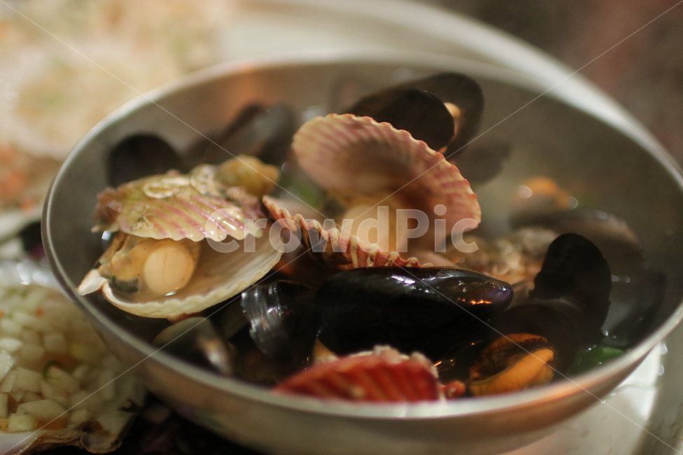 해산물,요리,음식,dish,외식,식사,조개,가리비,해물,음식,식재료,요리,food,cook,meal,dishes,food reserves