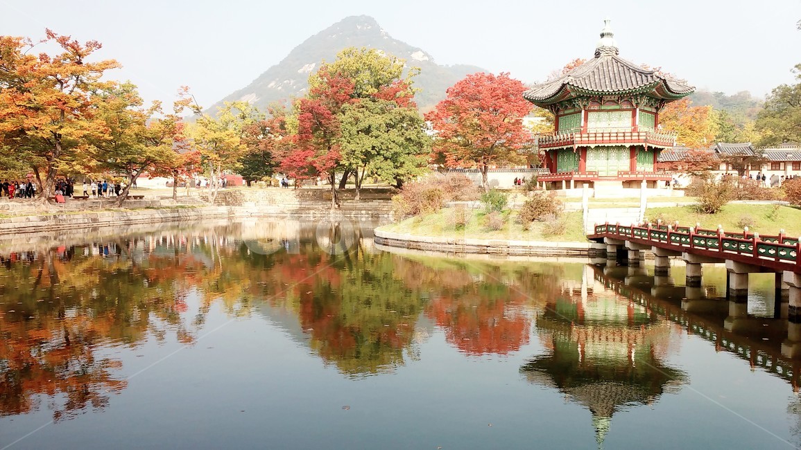 경복궁,향원정,가을,단풍,풍경,전통,울긋불긋,가을,계절,fall,autumn,season,랜드마크,landmark,tourist attraction,한국랜드마크,한국관광지,한국명소,korea landmark,korea tourist attraction,architecture,건축물,building,건물,temple,신전