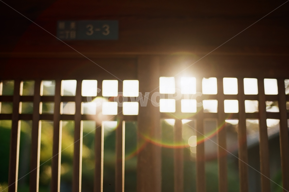flare,sunlight,light,backlight,film