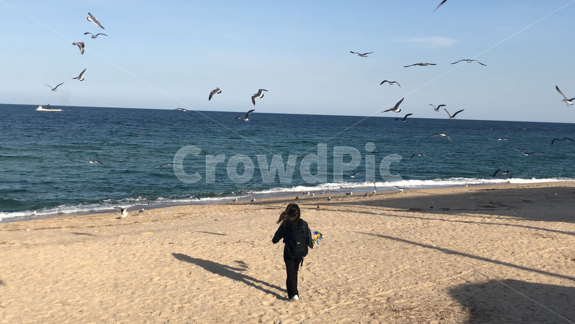 바다,여자,뒷모습,갈매기,강릉,여행,배낭여행,휴가,하늘,파랑,파란색,겨울바다,그림자,사람,인물,국내여행,beach,ocean,blue,woman,person,female,trip