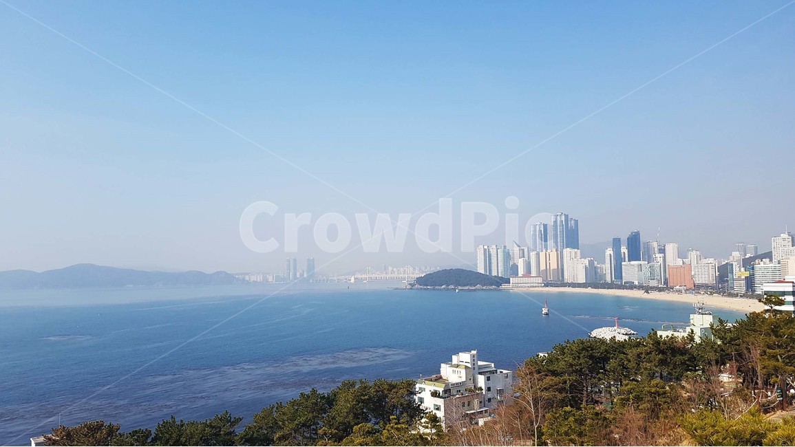 바다,바닷가,파도,해안가,수평선,자연,풍경,절경,해안도로,하늘,절벽,해안절벽,나무,윤슬,물거품,부산,겨울바다,파란색,바위,달맞이길,달맞이고개,문텐로드,도시,풍경,city,landscape,한국도시풍경,한국도시경관,korea cityscape,경치,outdoors,옥외,nature,scenery,land,땅,ocean,대양,water,물,sea,aerial view,조감도,shoreline,해안선