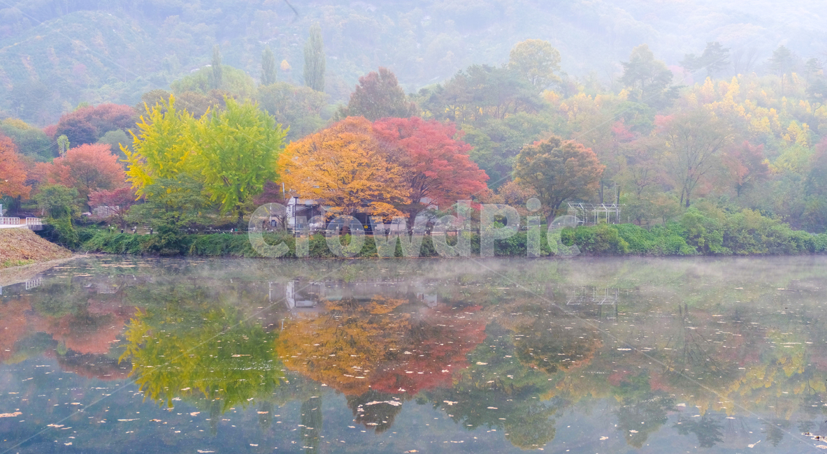 가을,단풍,나무,반영,안개,아침,가을,계절,fall,autumn,season,자연,풍경,nature,landscape,감성,sensible,feeling,water,물,outdoors,옥외,art,미술,painting,그림