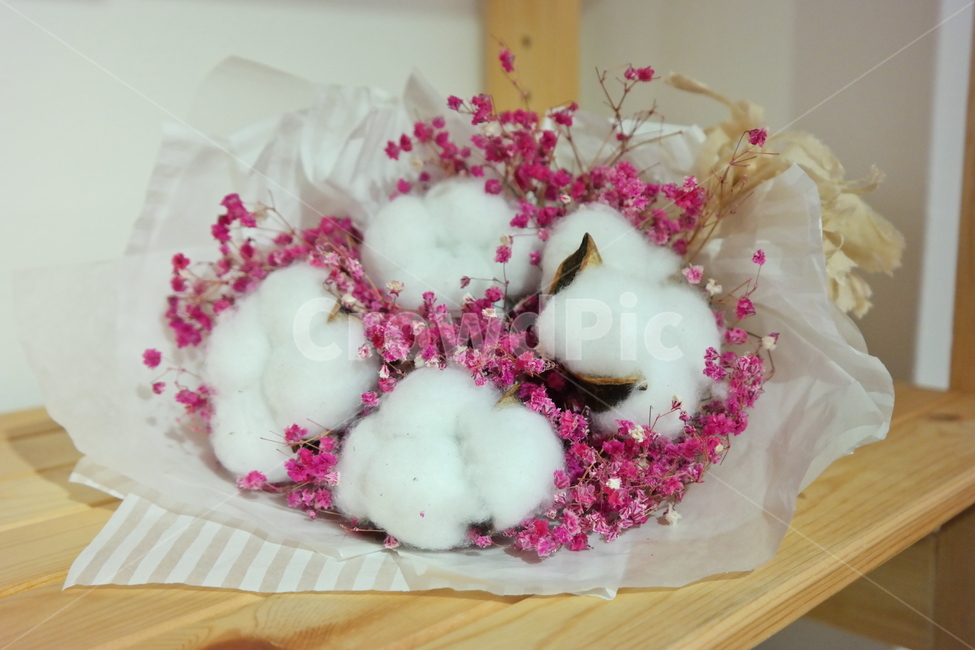 꽃,목화솜,꽃다발,마른꽃,드라이플라워,꽃,flower,기념일,축하,anniversary,congratulation,celebrate,celebration,인테리어,실내디자인,interior design