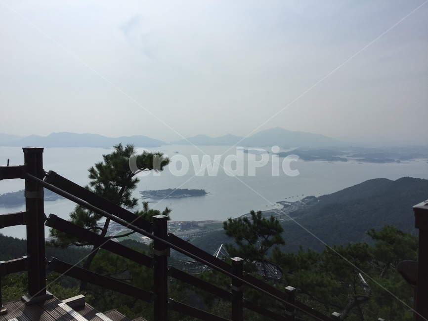 섬,바다,자연경관,풍경,경치,소나무