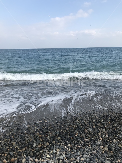 여름,바다,시원,파랑,물