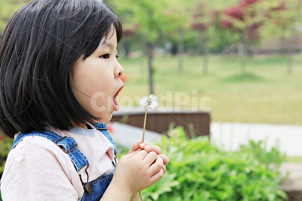 여자아이,아이,어린이,사람,자연,배경
