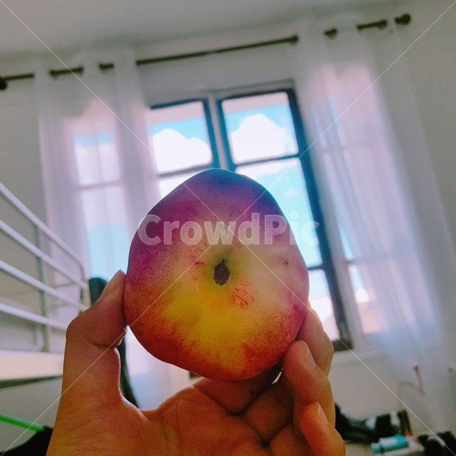 납작복숭아,peach,복숭아,과일,프랑스과일