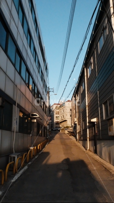 대칭,몰림,포커스,도심지,골목길,전선,건물,거리,도로,골목길,alley