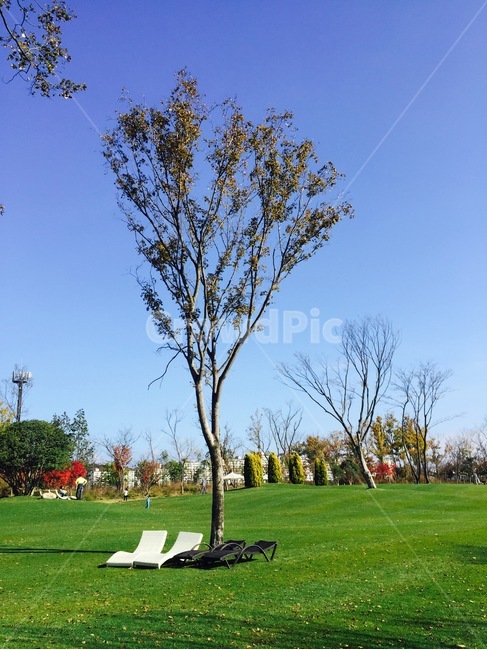 순천,가을,순천만국가정원,풍경,Korea,가을,계절,fall,autumn,season,자연,풍경,nature,landscape,식물,plants,나무,trees,wood,휴식,힐링,rest,relaxation,healing,plant,grass,잔디