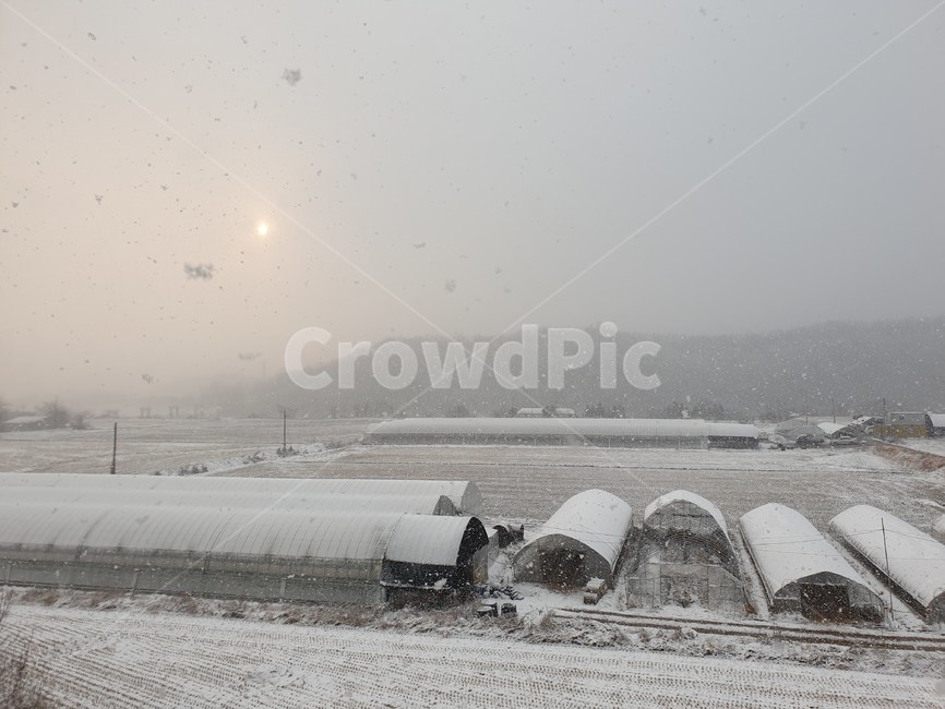 겨울,눈,스노우,화이트,시골,겨울시골,겨울풍경,눈내리는,눈보라,snow,white,winter,blizzard,storm,outdoors,자연,nature