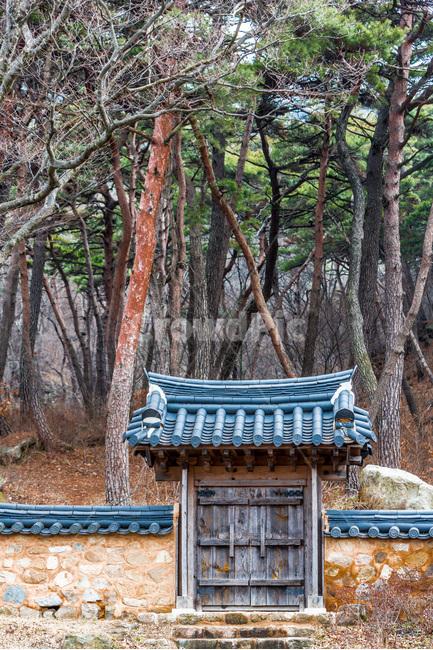 전통대문,기와,돌담,담벼락,소나무,전통,사찰,한국전통,한국문화,korean traditional,korean culture,건축물,건물외관,exterior,building,structure,architecture,construction