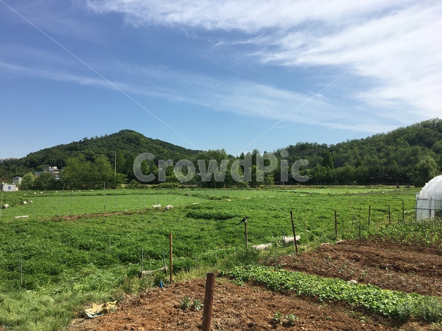 nature,자연,countryside,농촌,farm