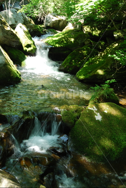 계곡,물,돌,자연,여름,자연,풍경,nature,landscape,water,outdoors,옥외,stream,흐름