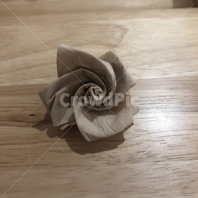 toilet paper rose,folding roses,tissue,rose,tissue paper origami