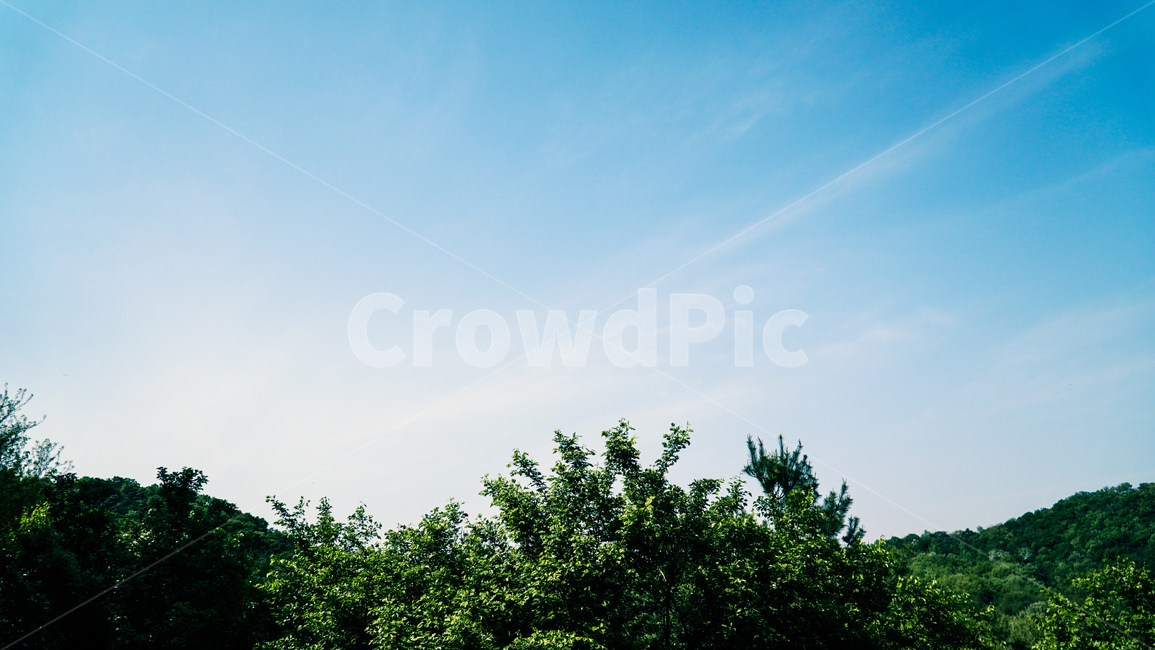 산,나무,숲,나뭇잎,잎,자연,풍경,nature,landscape,outdoors,옥외