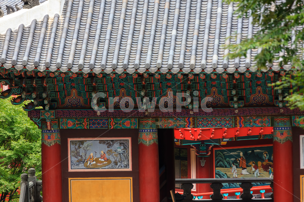 구룡사,치악산,원주,절,불교,종교,탑,건물,문화,종교적인,한국전통,한국문화,korean traditional,korean culture,종교,신앙,religion,belief,faith,건축물,건물외관,exterior,building,structure,architecture,construction