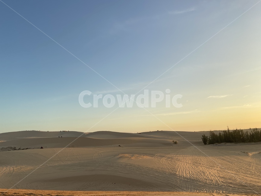 옥외,흙,soil,nature,자연,dune,모래언덕,sand,사막,사구