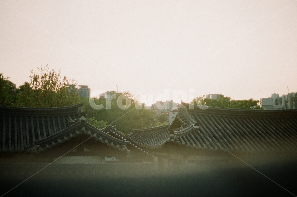 한국,한옥,건물,지붕,하늘,전경,빌딩,서울,landscape,korea,korean,house,building,seoul,roof,tiledroof,tiled,style,tree,나무,저녁,twilight,노을,traditional,전통,풍경,도시,city,남산한옥마을,한옥마을