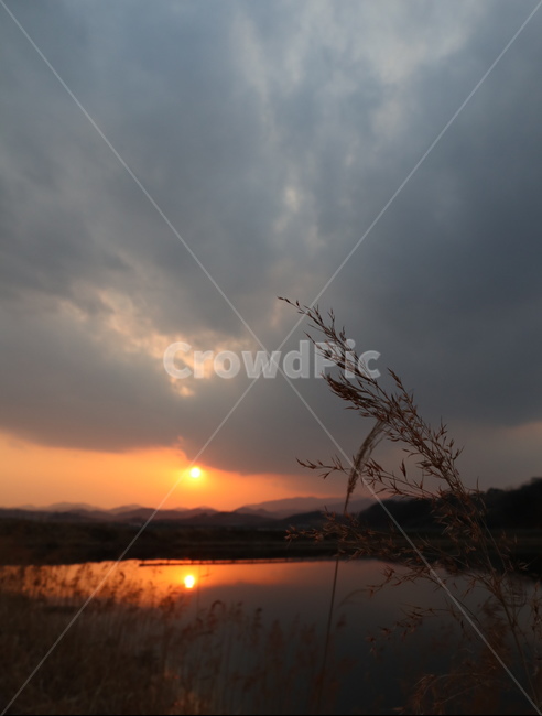 노을,일몰,자연,한국,시골,구름,장관,풍경,nature,sunrise,cloud,자연,풍경,nature,landscape,grass,잔디,plant,식물,outdoors,옥외