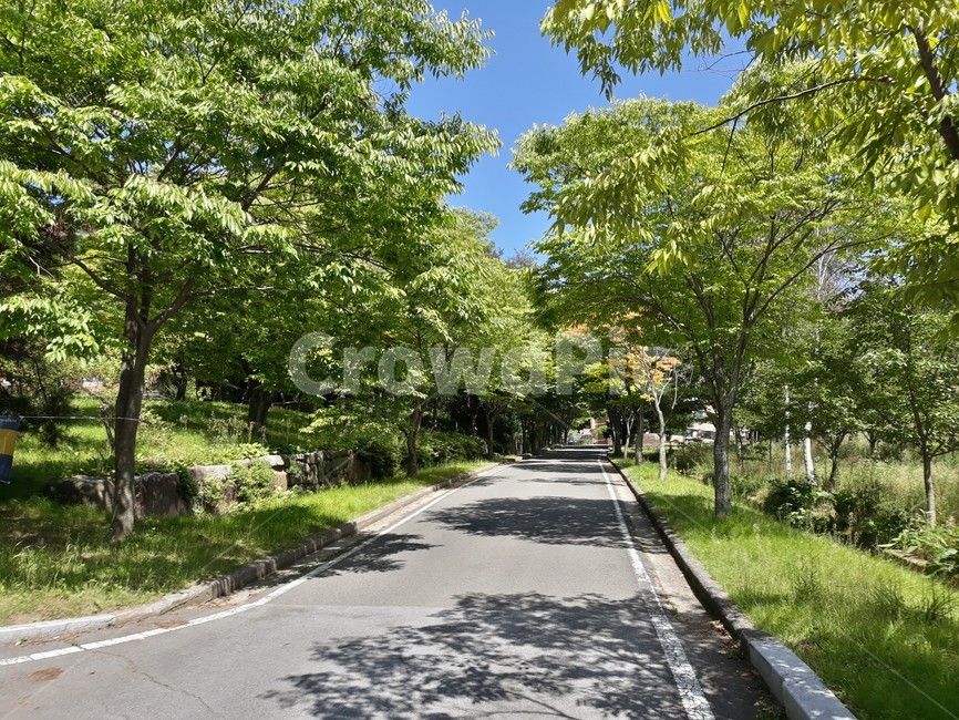 road,아스팔트,도로,asphalt,감성,풍경,잔잔함,자연