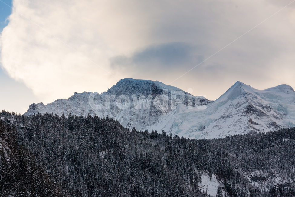 스위스,하늘,겨울,산,눈덮인,눈,숲,겨울,계절,winter,season,자연,풍경,nature,landscape,해외,외국,세계,foreign,oversea,world,세계자연풍경,해외자연풍경,외국자연풍경,world nature landscape,outdoors,옥외,mountain,ice,빙,tree,나무,plant,식물