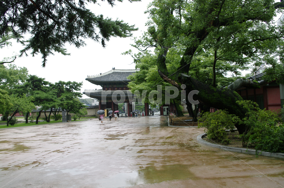 돈화문,창덕궁,고궁,한옥,전통가옥,기와지붕,건축,traditional,나무,랜드마크,landmark,tourist attraction,한국랜드마크,한국관광지,한국명소,korea landmark,korea tourist attraction,사람들,대중,군중,other people,crowd