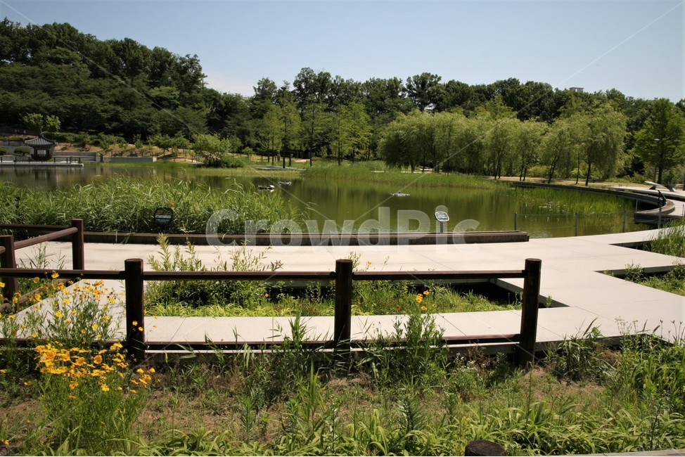 도시,공원,호수,산책,꽃길,자연,풍경,nature,landscape,한국자연풍경,한국자연경관,korea nature landscape,bench,벤치,furniture,가구,water,물