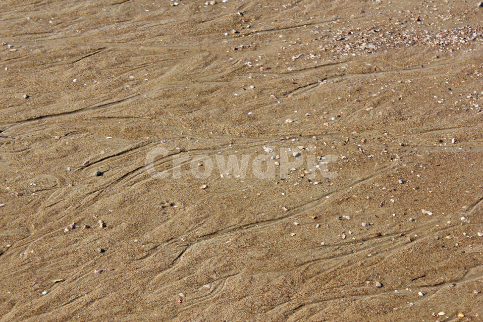 beach,brown,detail,earth,ground,mud,mudflat,nature,sand,soil,waterstreak,바닷가,해안가,갈색,브라운,땅,흙,모래,모래사장,해변,자연,진흙,갯벌,모래밭,탑앵글,탑뷰,해변,바다,beach,sea