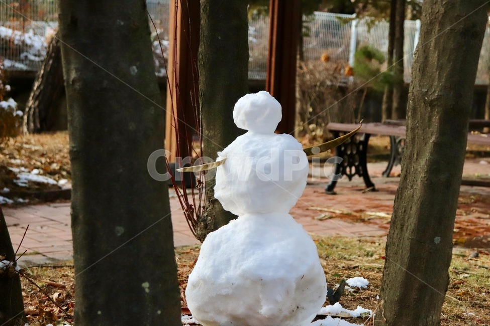 겨울,눈사람,계절,나무,눈,겨울,계절,winter,season