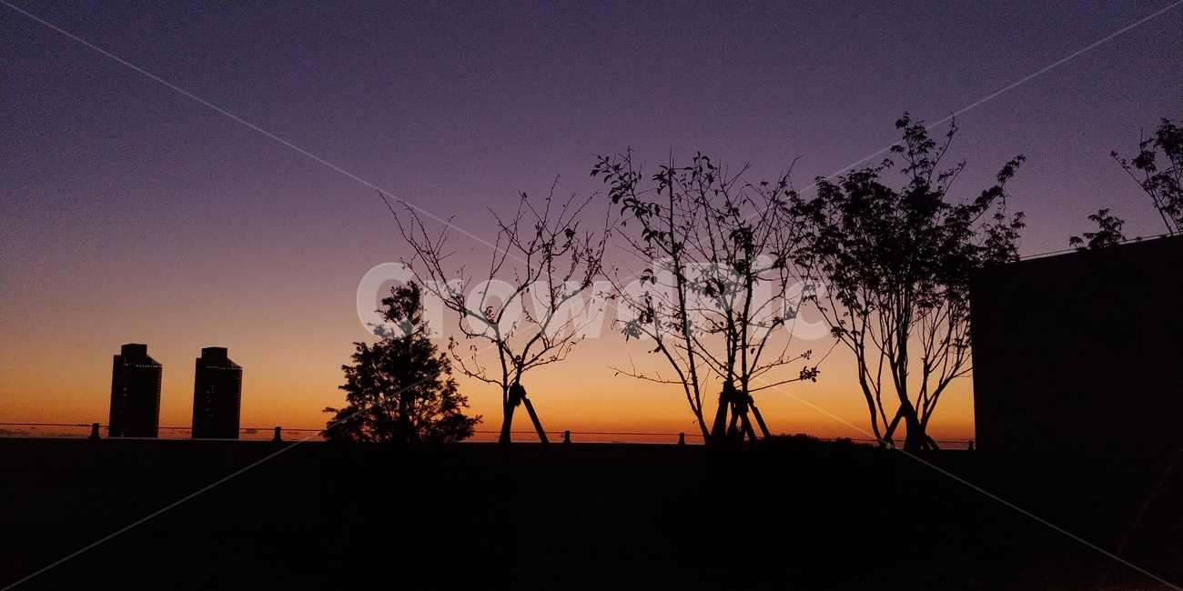 하늘,밤하늘,풍경,야경,노을,해질녘,저녁,석양,자연,경치,sunset,sky,nature,따듯한,운치있는,분위기있는,그림같은,도시,풍경,city,landscape,실루엣,그림자,silhouette,shadow,outdoors,옥외,dawn,새벽,일몰,dusk,황혼,red sky,붉은 하늘