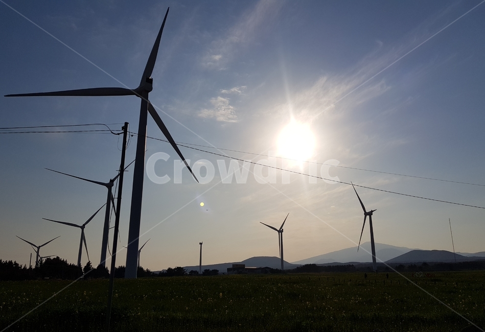 역광,풍력발전기,바람,전기,에너지,발전소,해,들판,하늘,powerplant,windgenerator,windpower,wind,sun,sky,energy,electricity