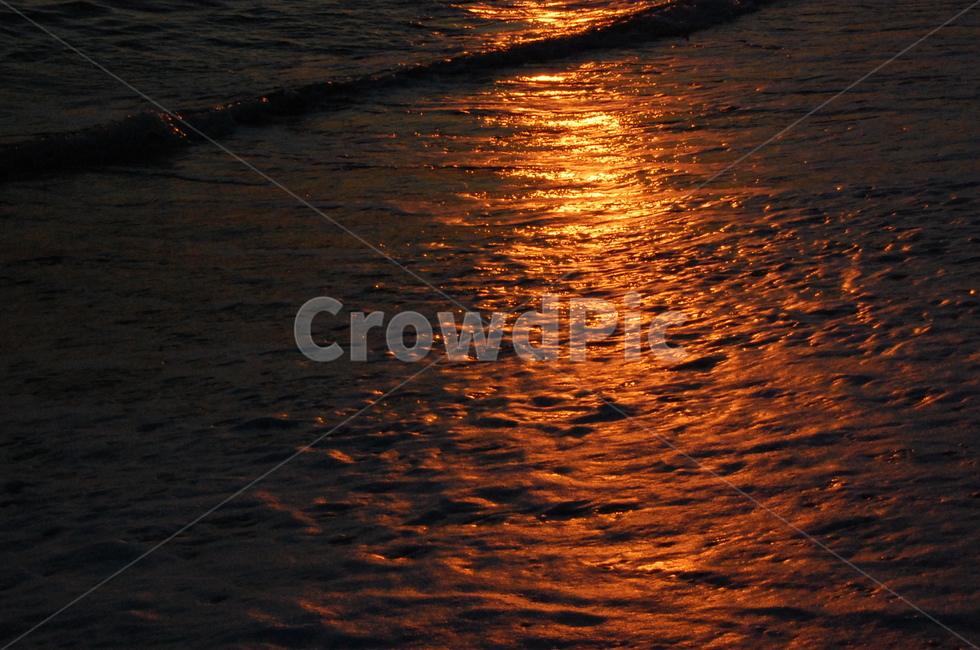 sunlight,flare,light,nature,자연,빛,햇빛
