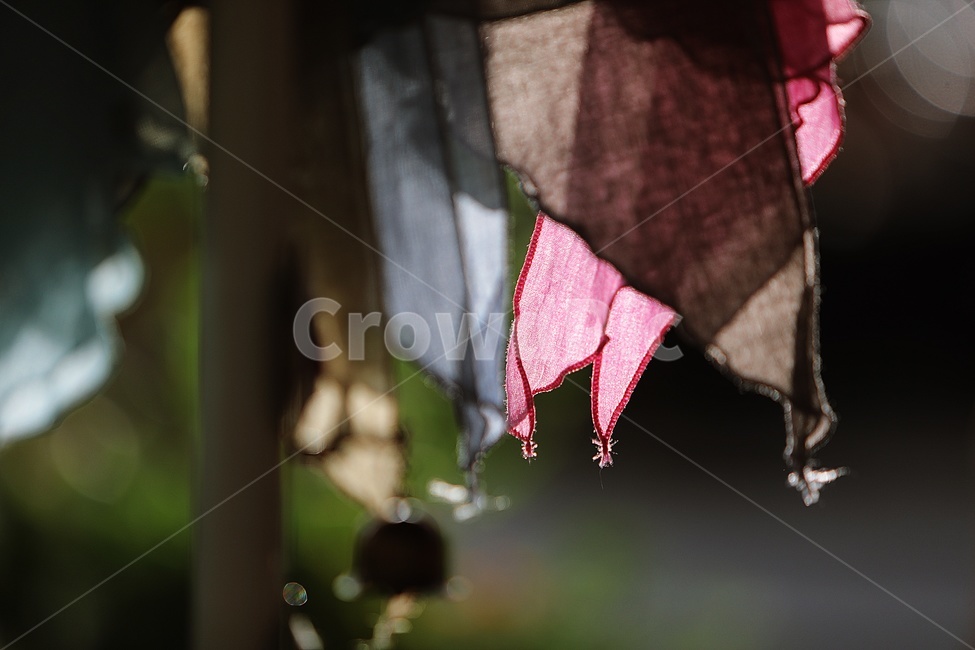 일상,천,가을,오후,나른한오후,한국전통,한국문화,korean traditional,korean culture,감성,sensible,feeling
