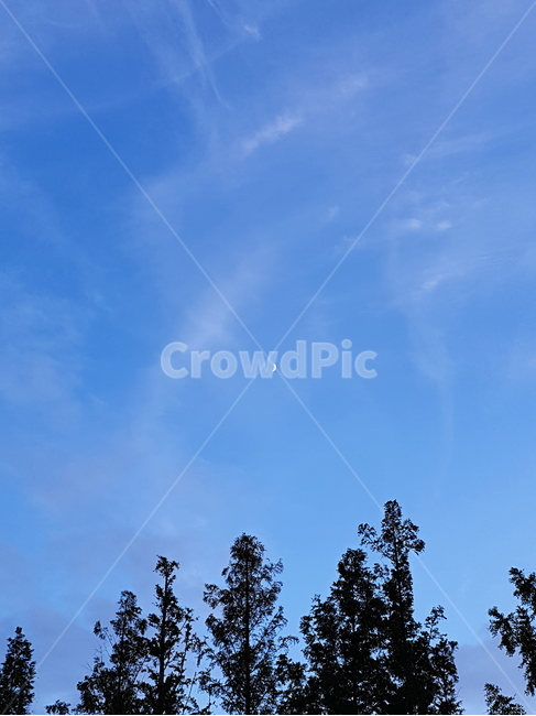 하늘,달,자연,sky,구름