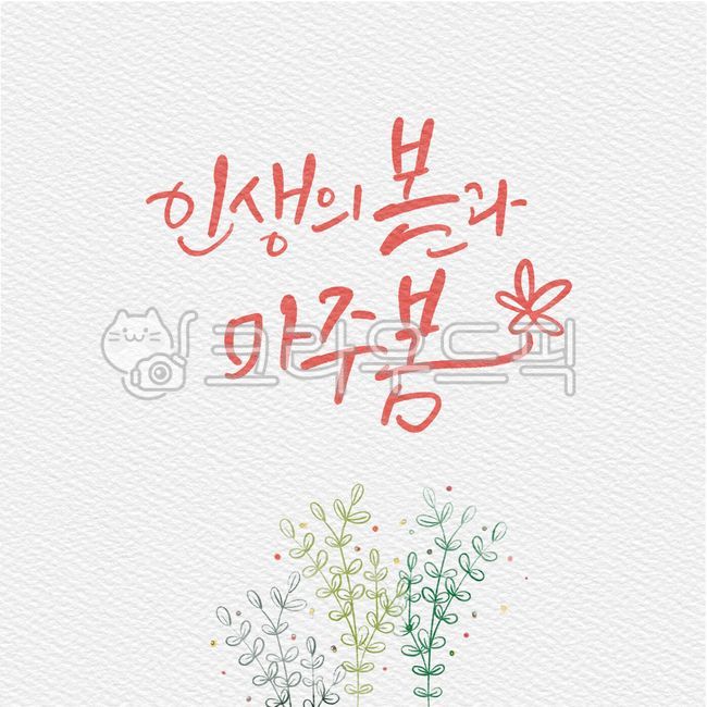 계절,아름다움,귀여움,드로잉,디자인,꽃잎,봄,꽃,일러스트,캘리그래피,손글씨,봄맞이,풀,잎사귀,캘리그라피,캘리,인생,마주봄,켈리그라피,켈리,봄캘리