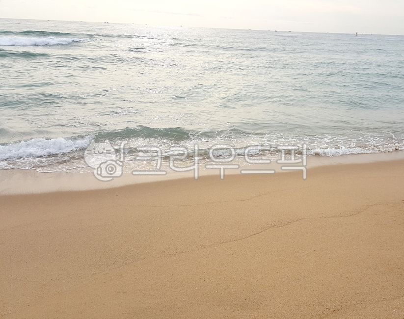 sea, 바다, 자연, 모래, sand, 사진,이미지,일러스트,캘리그라피 - mamemo작가