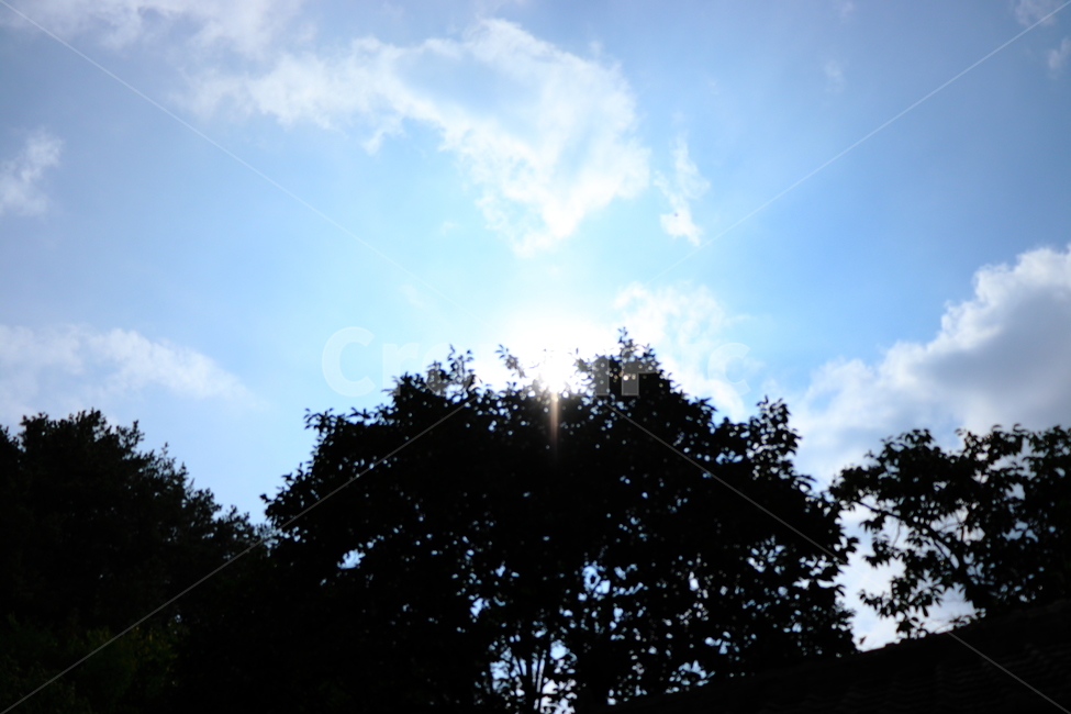 햇빛,나무그늘,군위,구름,하늘,cloud,sky,sunlight,자연,풍경,nature,landscape,light,빛,flare,플레어