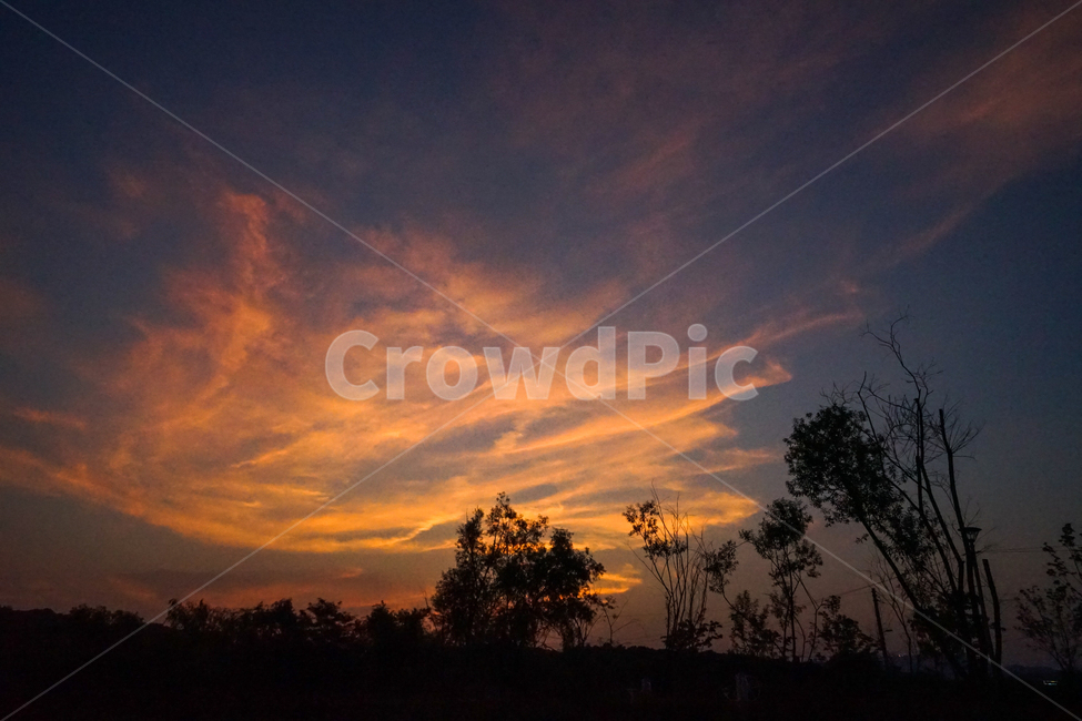 석양,해넘이,노을,나무,풍경,자연,풍경,nature,landscape,outdoors,옥외,dusk,황혼,sunset,일몰,sky,하늘,dawn,새벽,red sky,붉은 하늘