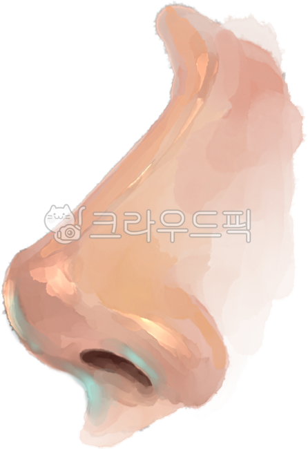 nose,face,skin color,hand drawing,profile,skin,body,Watercolor,plastic surgery,facial features