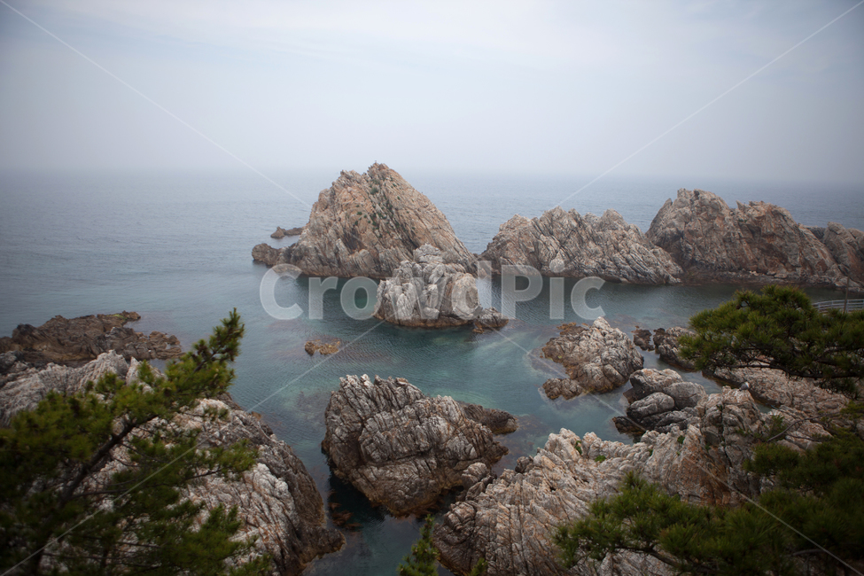 wave,nature,자연,outdoors,water,해안선,shoreline,ocean,sea,바다,암초,동해,삼척,장호항,바위,돌,rock,자연,풍경,nature,landscape